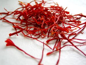 Safran-Krokus 'Sativus' - 20 Stück