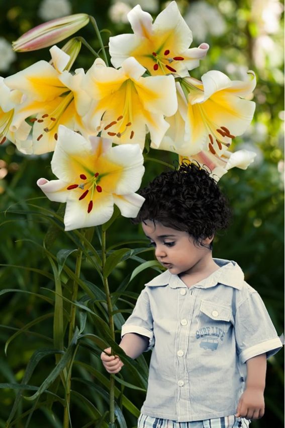 Lilien Miss peculiar