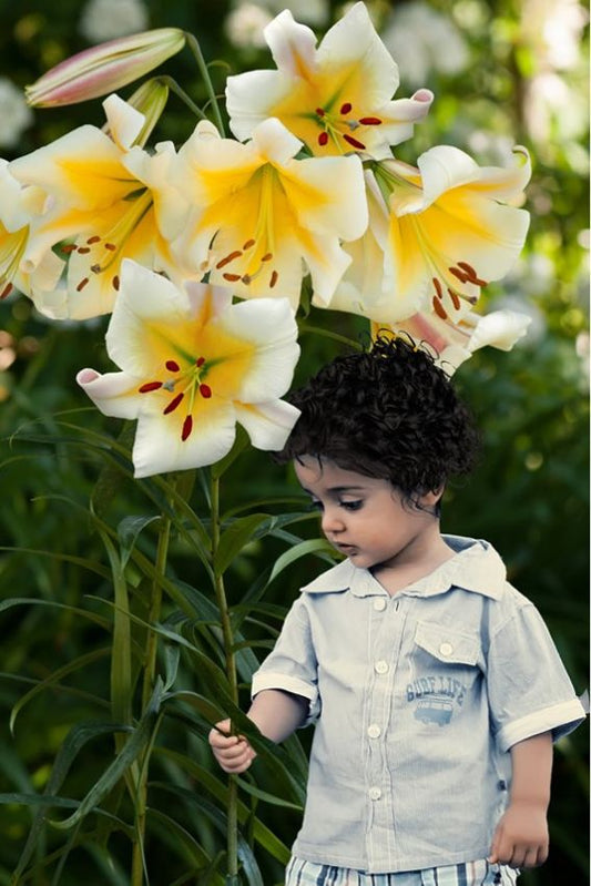 Lilien Miss peculiar