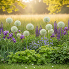 Zierlauch 'Mount Everest' - 15 Stück