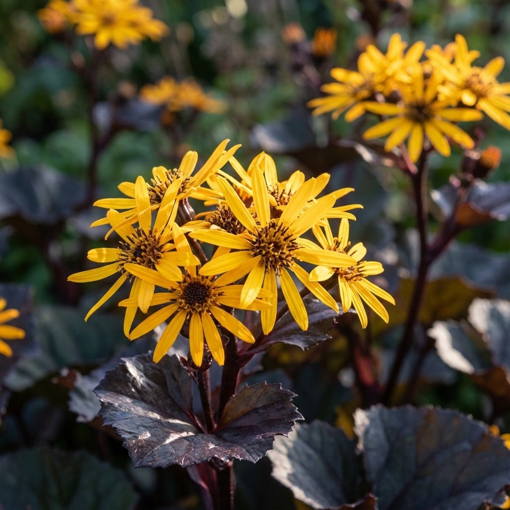 Goldkolben 'Britt-Marie Crawford' - 3 Stück - LumiBlumi